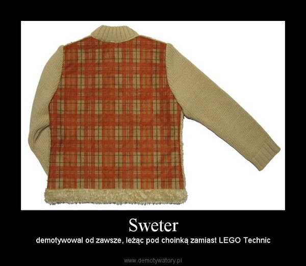 Sweter