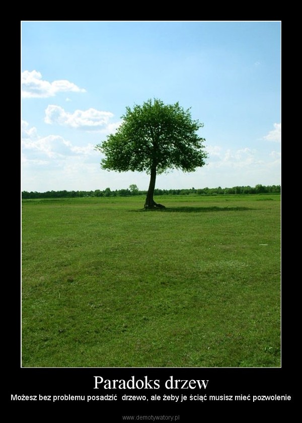 Paradoks drzew
