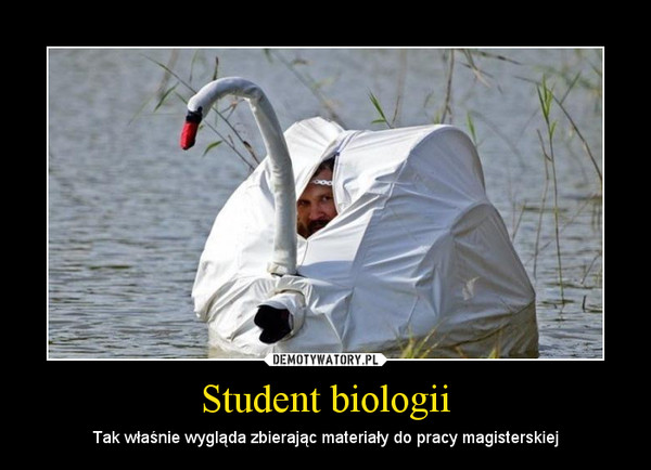 Student biologii – Tak właśnie wygląda zbierając materiały do pracy magisterskiej 