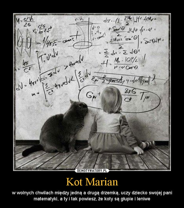 Kot Marian – w wolnych chwilach między jedną a drugą drzemką, uczy dziecko swojej pani matematyki, a ty i tak powiesz, że koty są głupie i leniwe 
