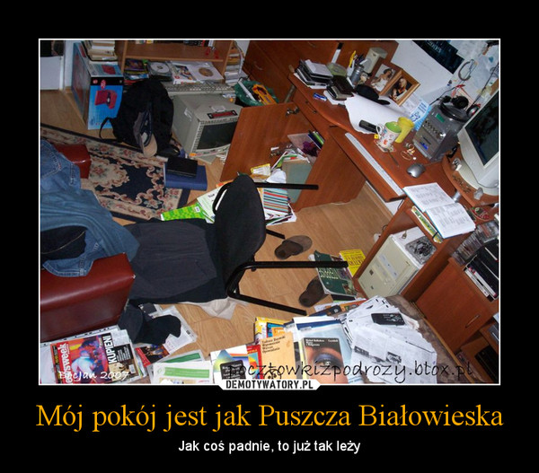 Mój pokój jest jak Puszcza Białowieska – Jak coś padnie, to już tak leży 