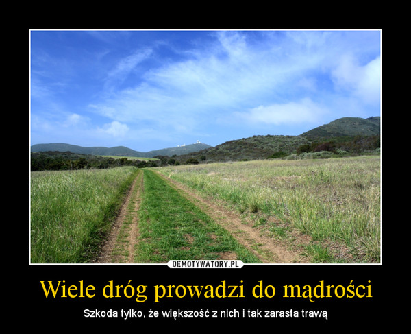 Wiele dróg prowadzi do mądrości – Szkoda tylko, że większość z nich i tak zarasta trawą 