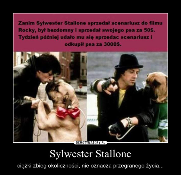 Sylwester Stallone – ciężki zbieg okoliczności, nie oznacza przegranego życia... 