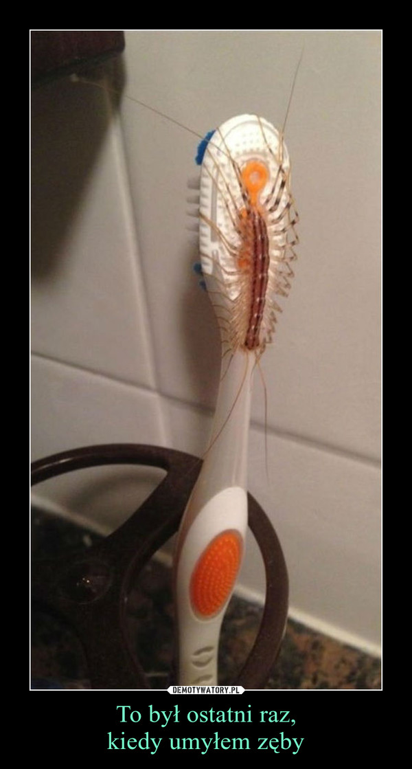 To był ostatni raz,kiedy umyłem zęby –  