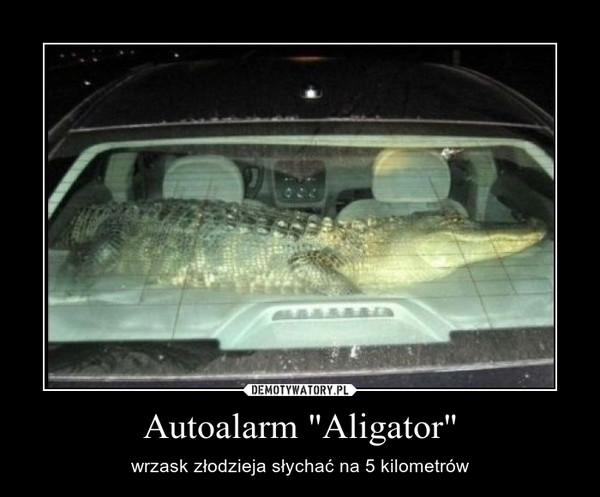 Autoalarm "Aligator" – wrzask złodzieja słychać na 5 kilometrów 