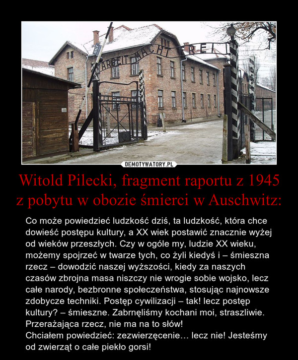 Witold Pilecki, fragment raportu z 1945 z pobytu w obozie śmierci w Auschwitz: – Co może powiedzieć ludzkość dziś, ta ludzkość, która chce dowieść postępu kultury, a XX wiek postawić znacznie wyżej od wieków przeszłych. Czy w ogóle my, ludzie XX wieku, możemy spojrzeć w twarze tych, co żyli kiedyś i – śmieszna rzecz – dowodzić naszej wyższości, kiedy za naszych czasów zbrojna masa niszczy nie wrogie sobie wojsko, lecz całe narody, bezbronne społeczeństwa, stosując najnowsze zdobycze techniki. Postęp cywilizacji – tak! lecz postęp kultury? – śmieszne. Zabrnęliśmy kochani moi, straszliwie. Przerażająca rzecz, nie ma na to słów!Chciałem powiedzieć: zezwierzęcenie… lecz nie! Jesteśmy od zwierząt o całe piekło gorsi! 