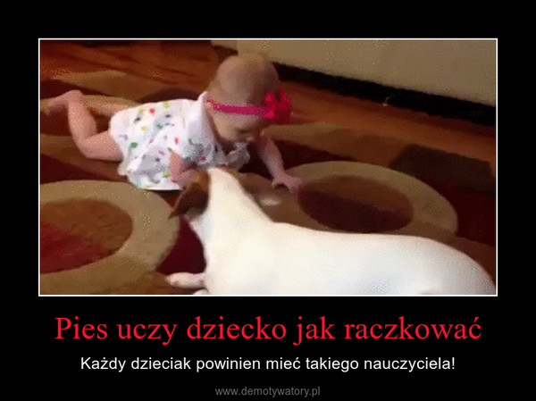 Pies uczy dziecko jak raczkować – Każdy dzieciak powinien mieć takiego nauczyciela! 