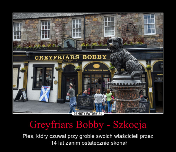 Greyfriars Bobby - Szkocja – Pies, który czuwał przy grobie swoich właścicieli przez 14 lat zanim ostatecznie skonał 