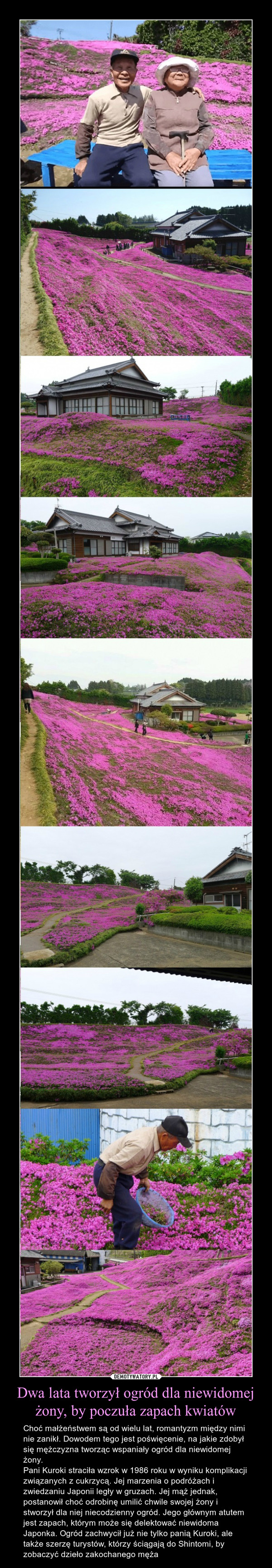 Dwa lata tworzył ogród dla niewidomej żony, by poczuła zapach kwiatów