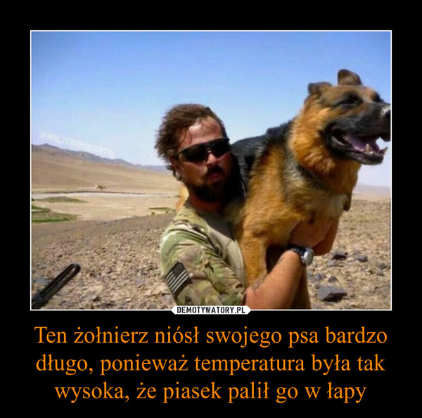 Ten żołnierz niósł swojego psa bardzo długo, ponieważ temperatura była tak wysoka, że piasek palił go w łapy –  