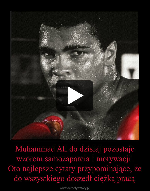 Muhammad Ali do dzisiaj pozostaje wzorem samozaparcia i motywacji.Oto najlepsze cytaty przypominające, że do wszystkiego doszedł ciężką pracą –  