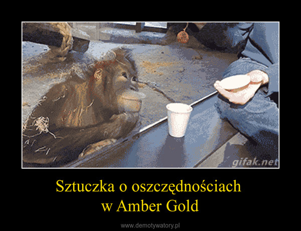 Sztuczka o oszczędnościach w Amber Gold –  