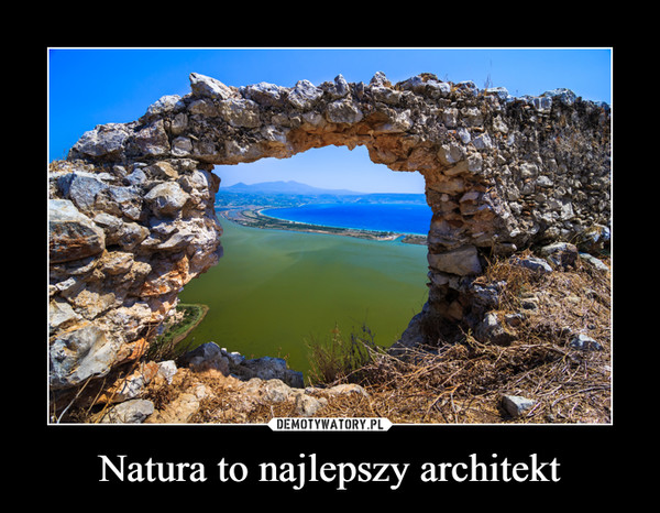 Natura to najlepszy architekt –  