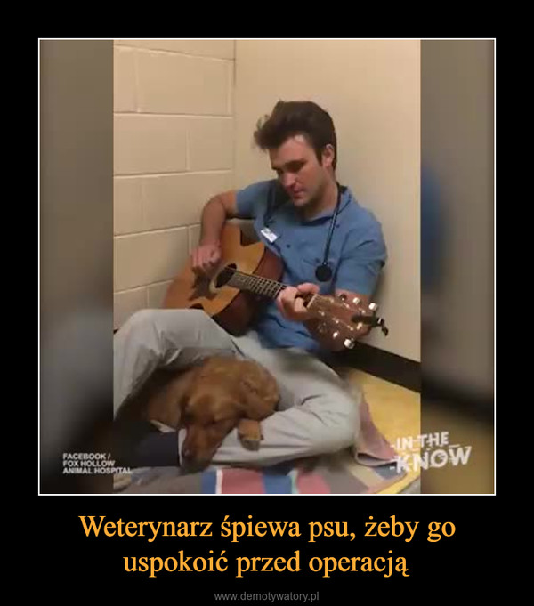 Weterynarz śpiewa psu, żeby go uspokoić przed operacją –  