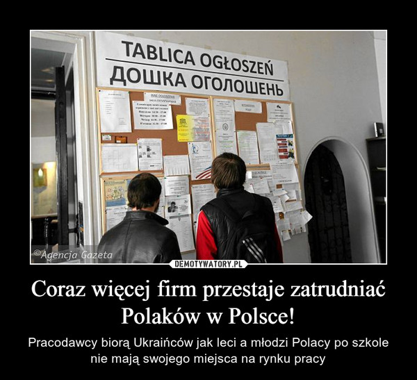 Coraz więcej firm przestaje zatrudniać Polaków w Polsce! – Pracodawcy biorą Ukraińców jak leci a młodzi Polacy po szkole nie mają swojego miejsca na rynku pracy 