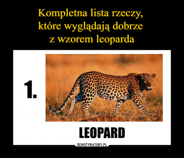  –  1. leopard