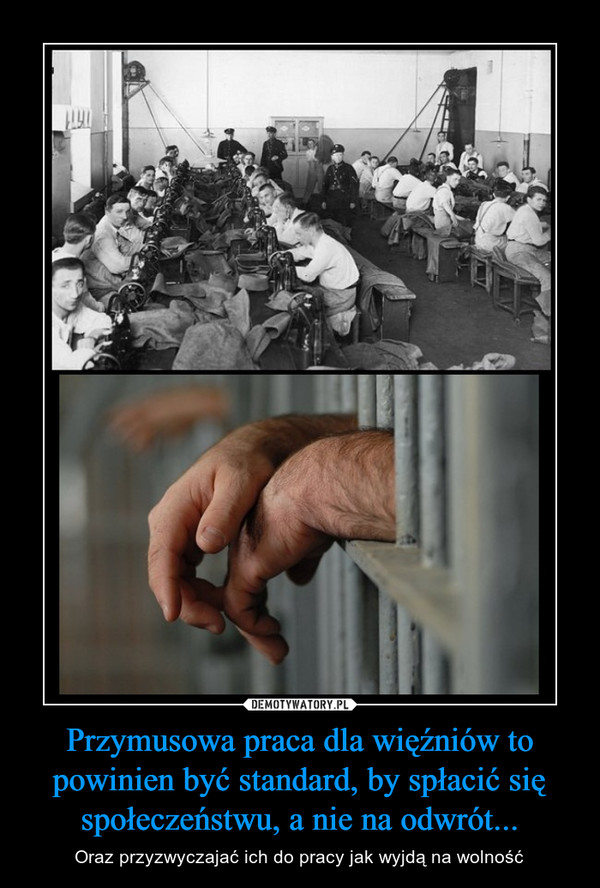 Przymusowa praca dla więźniów to powinien być standard, by spłacić się społeczeństwu, a nie na odwrót...