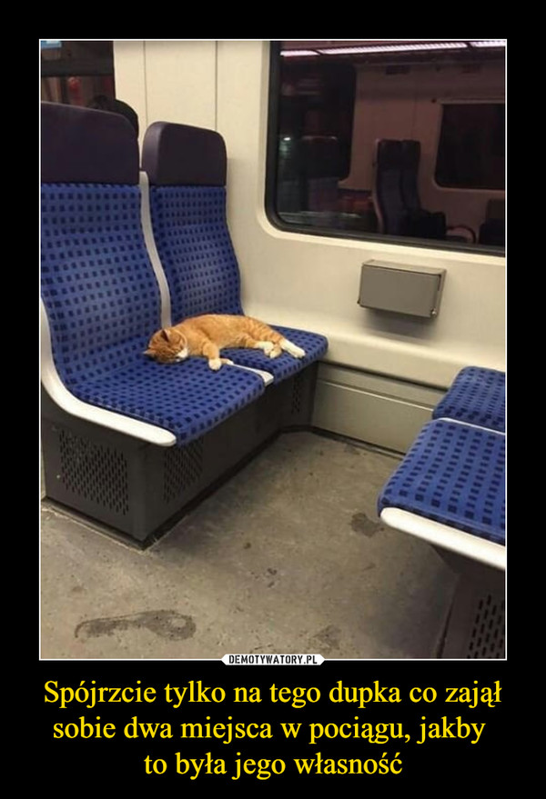 Spójrzcie tylko na tego dupka co zajął sobie dwa miejsca w pociągu, jakby to była jego własność –  