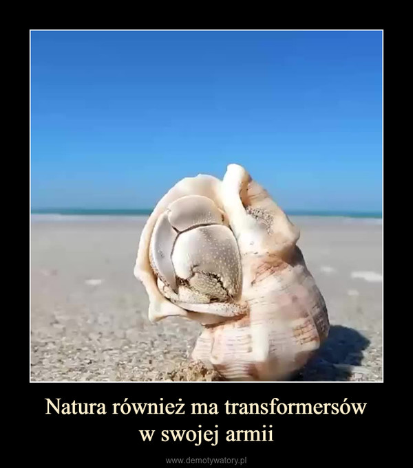Natura również ma transformersóww swojej armii –  