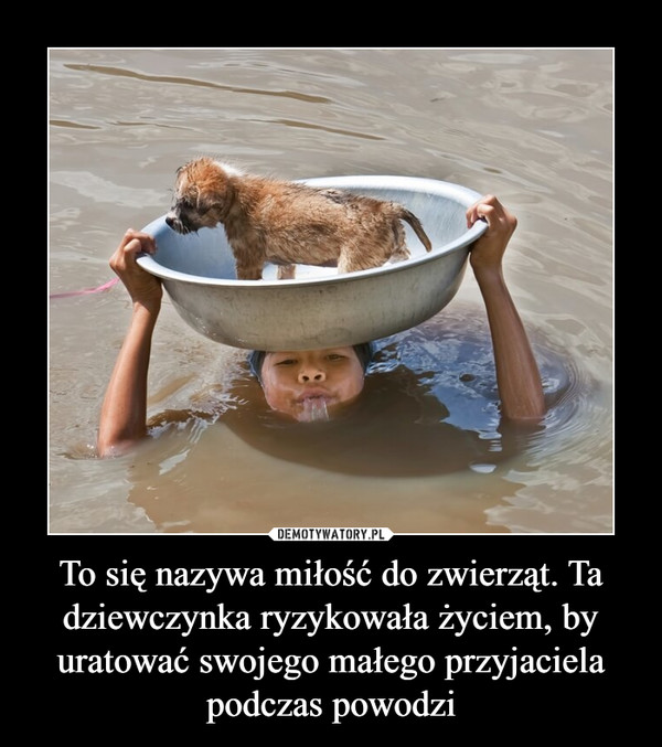 To się nazywa miłość do zwierząt. Ta dziewczynka ryzykowała życiem, by uratować swojego małego przyjaciela podczas powodzi –  