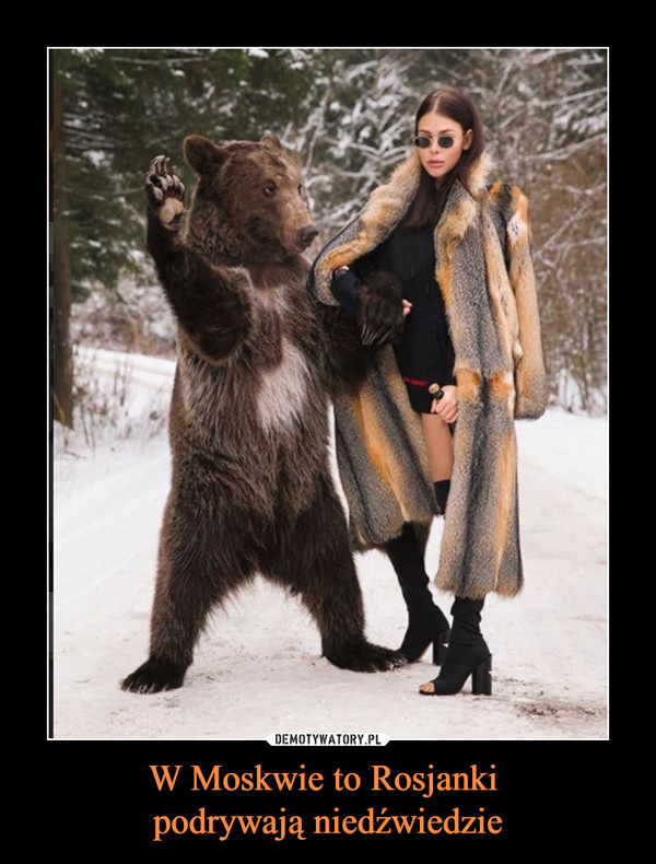 W Moskwie to Rosjanki podrywają niedźwiedzie –  
