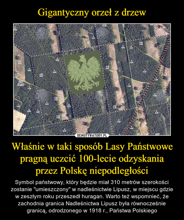 Właśnie w taki sposób Lasy Państwowe pragną uczcić 100-lecie odzyskania przez Polskę niepodległości – Symbol państwowy, który będzie miał 310 metrów szerokości zostanie "umieszczony" w nadleśnictwie Lipusz, w miejscu gdzie w zeszłym roku przeszedł huragan. Warto też wspomnieć, że zachodnia granica Nadleśnictwa Lipusz była równocześnie granicą, odrodzonego w 1918 r., Państwa Polskiego 