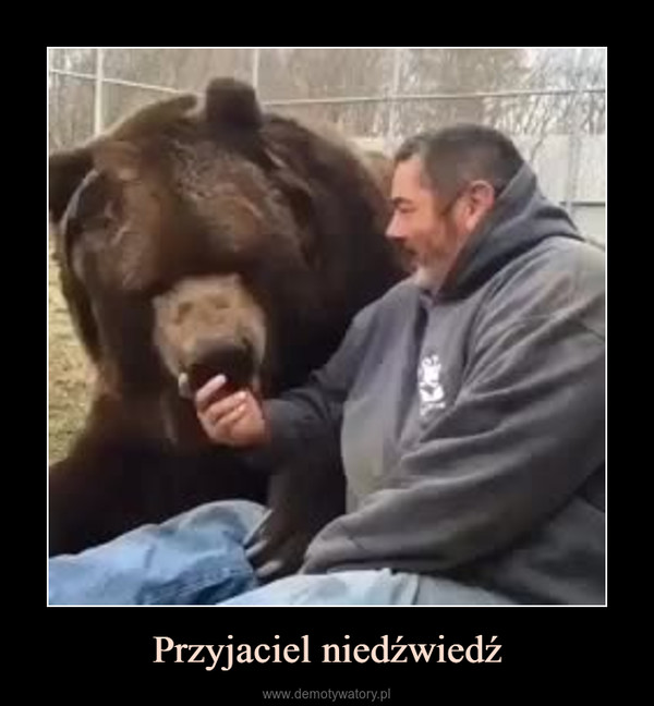 Przyjaciel niedźwiedź –  