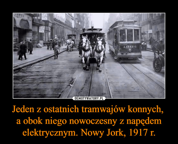 Jeden z ostatnich tramwajów konnych, a obok niego nowoczesny z napędem elektrycznym. Nowy Jork, 1917 r. –  