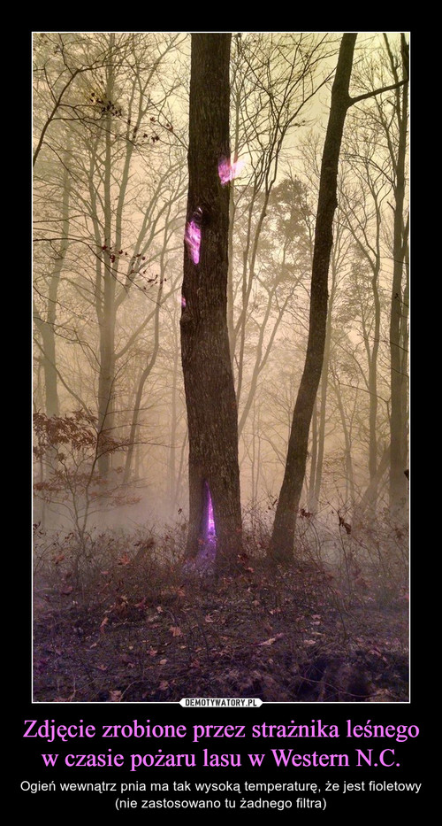 Zdjęcie zrobione przez strażnika leśnego w czasie pożaru lasu w Western N.C.