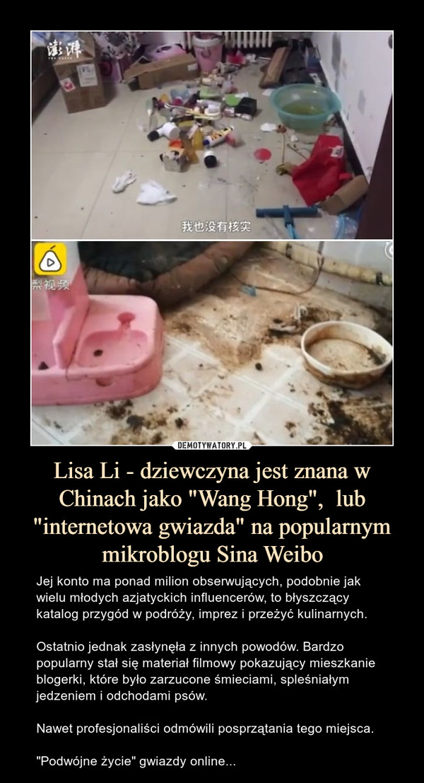 Lisa Li - dziewczyna jest znana w Chinach jako "Wang Hong",  lub "internetowa gwiazda" na popularnym mikroblogu Sina Weibo