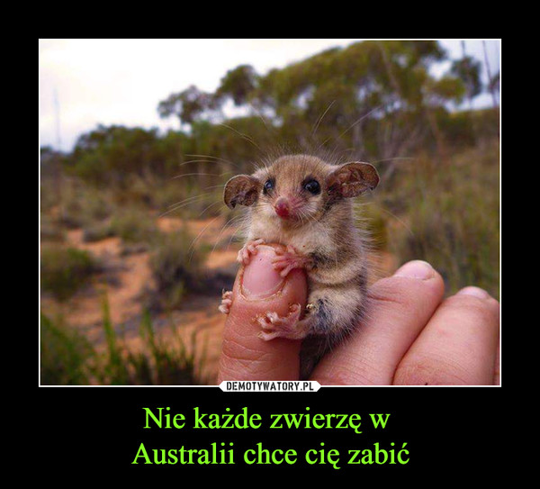 Nie każde zwierzę w 
Australii chce cię zabić