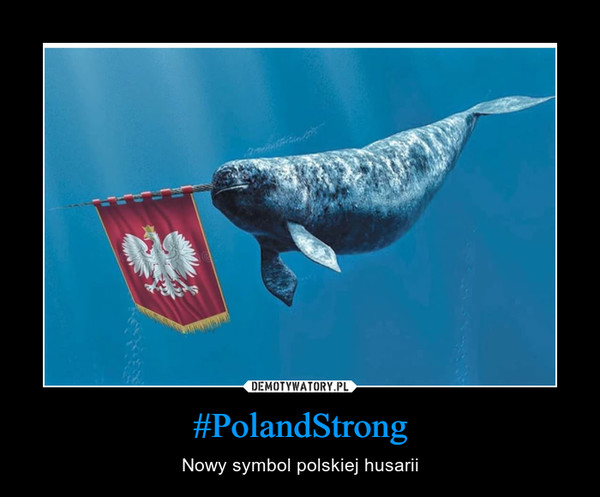 #PolandStrong – Nowy symbol polskiej husarii 