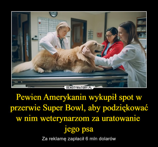 Pewien Amerykanin wykupił spot w przerwie Super Bowl, aby podziękować w nim weterynarzom za uratowanie 
jego psa