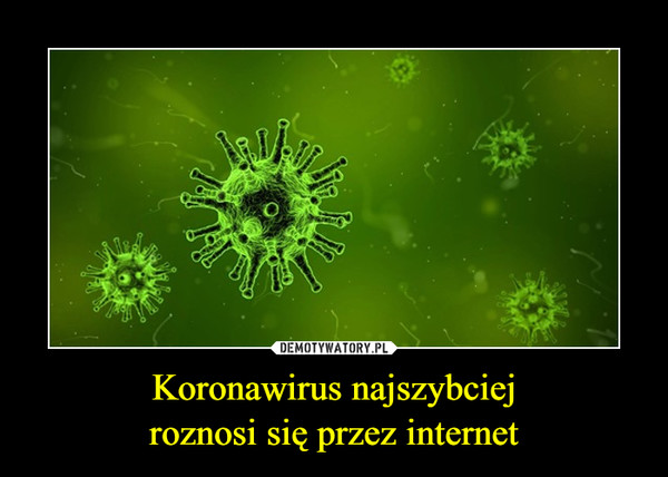 Koronawirus najszybciejroznosi się przez internet –  