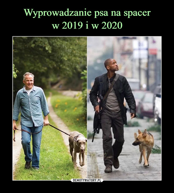 Wyprowadzanie psa na spacer
w 2019 i w 2020