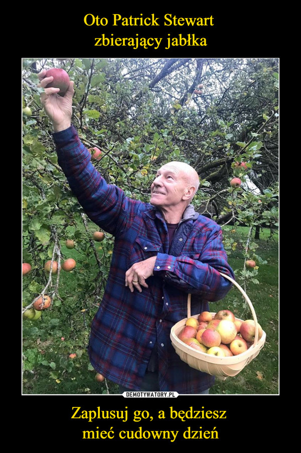 Oto Patrick Stewart 
zbierający jabłka Zaplusuj go, a będziesz 
mieć cudowny dzień