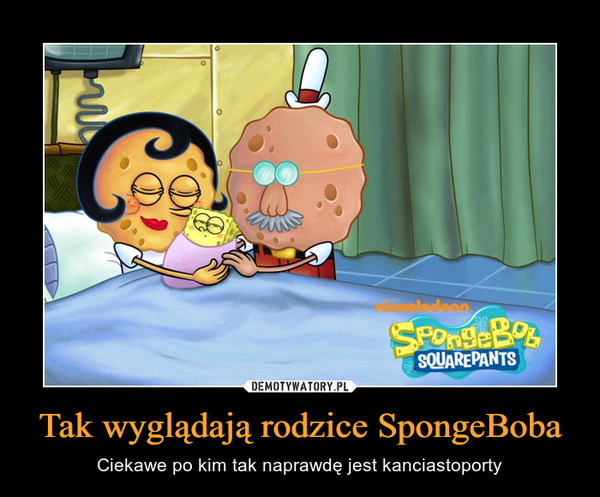 Tak wyglądają rodzice SpongeBoba – Ciekawe po kim tak naprawdę jest kanciastoporty 
