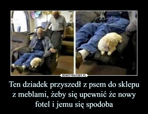 Ten dziadek przyszedł z psem do sklepu z meblami, żeby się upewnić że nowy fotel i jemu się spodoba –  