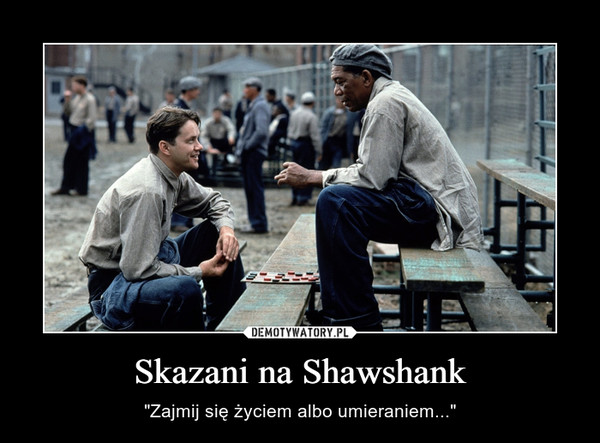 Skazani na Shawshank – "Zajmij się życiem albo umieraniem..." 
