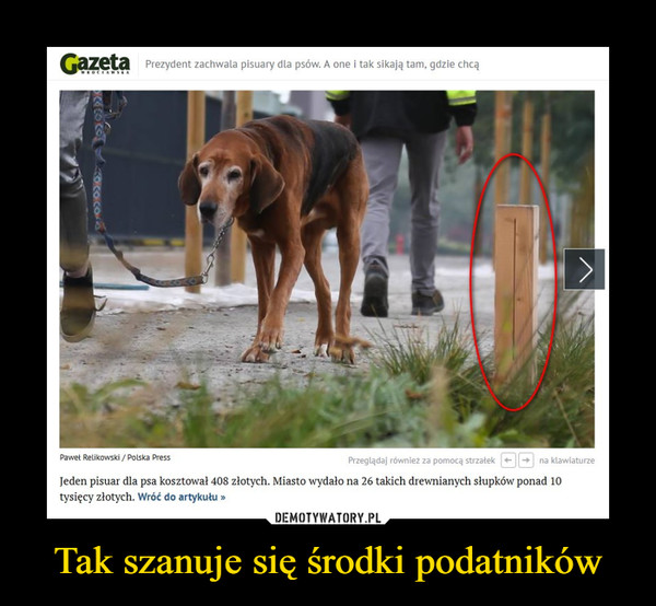 Tak szanuje się środki podatników –  Jeden pisuar dla psa kosztował 408 złotych. Miasto wydało na 26 takich drewnianych słupków ponad 10 tysięcy złotych