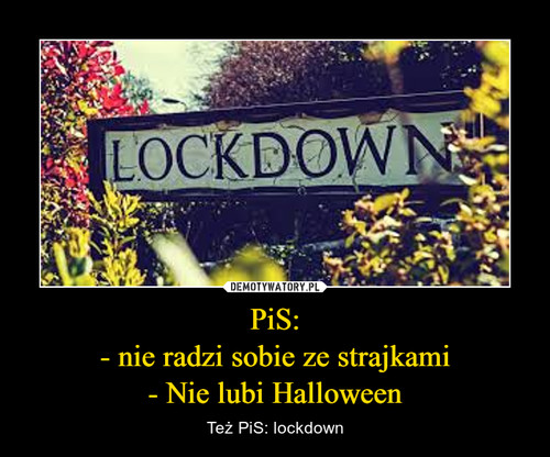 PiS:
- nie radzi sobie ze strajkami
- Nie lubi Halloween