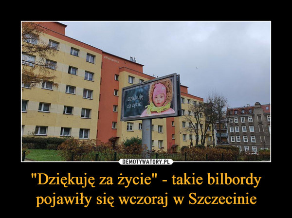 "Dziękuję za życie" - takie bilbordy pojawiły się wczoraj w Szczecinie –  