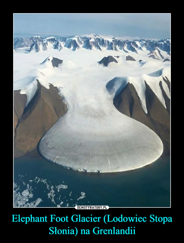Elephant Foot Glacier (Lodowiec Stopa Słonia) na Grenlandii –  
