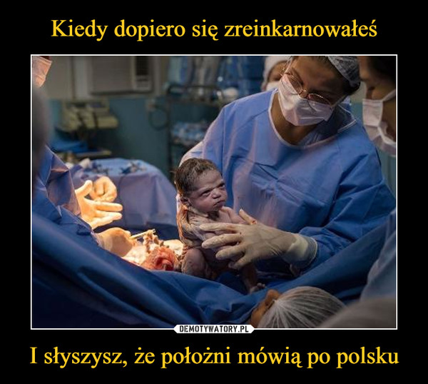 I słyszysz, że położni mówią po polsku –  