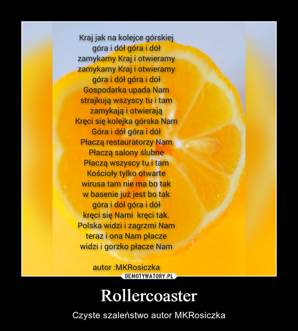 Rollercoaster – Czyste szaleństwo autor MKRosiczka 