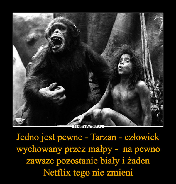 Jedno jest pewne - Tarzan - człowiek wychowany przez małpy -  na pewno zawsze pozostanie biały i żaden
Netflix tego nie zmieni