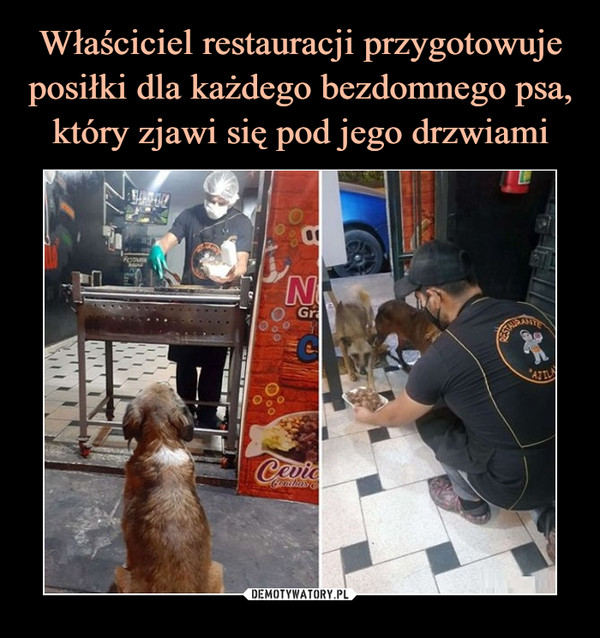 Właściciel restauracji przygotowuje posiłki dla każdego bezdomnego psa, który zjawi się pod jego drzwiami