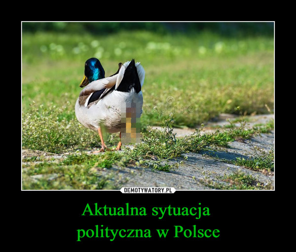 Aktualna sytuacja polityczna w Polsce –  