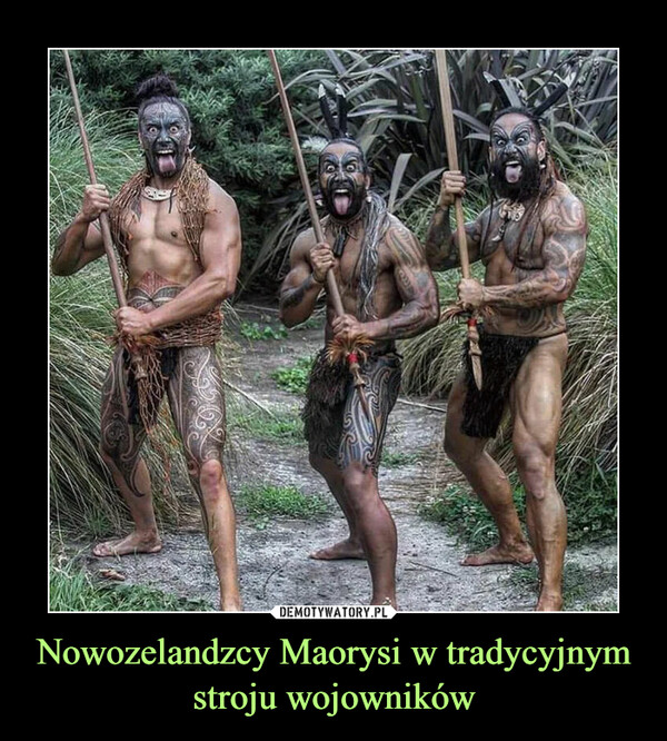 Nowozelandzcy Maorysi w tradycyjnym stroju wojowników