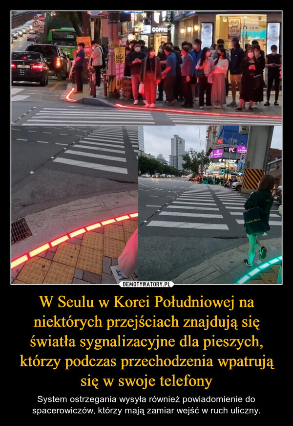 W Seulu w Korei Południowej na niektórych przejściach znajdują się światła sygnalizacyjne dla pieszych, którzy podczas przechodzenia wpatrują się w swoje telefony